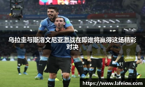 彩神VI官网