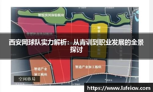 彩神VI官网