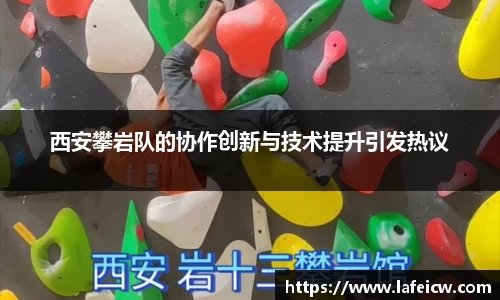 彩神VI官网